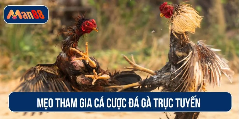 Áp dụng các mẹo chơi để tăng tỷ lệ thắng
