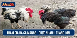 Đá gà MAN88
