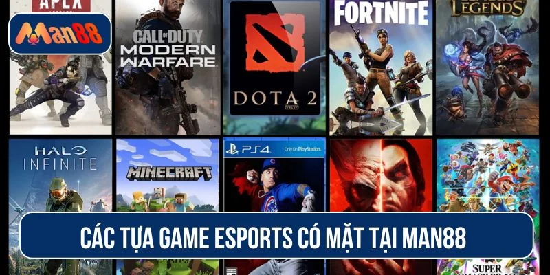 Nhà cái cung cấp nhiều trò chơi với tỷ lệ cạnh tranh