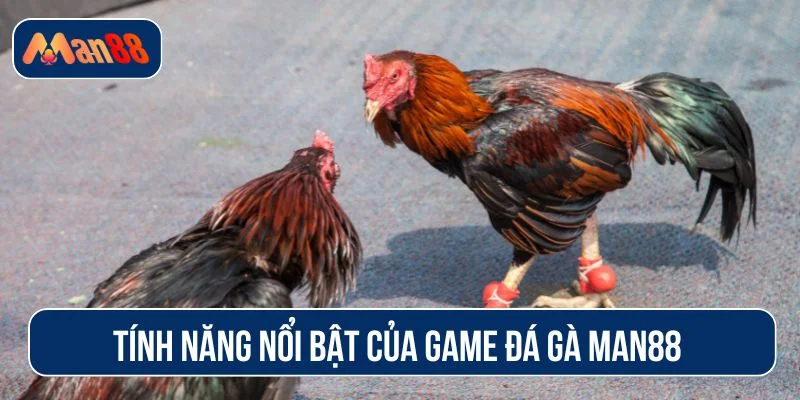 Sảnh game đá gà MAN88 sở hữu nhiều ưu điểm
